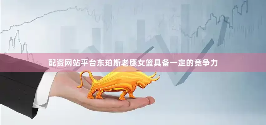配资网站平台东珀斯老鹰女篮具备一定的竞争力