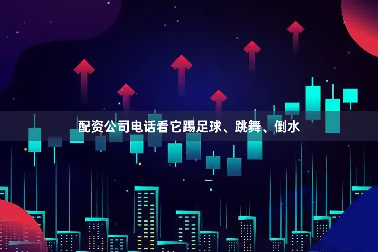 配资公司电话看它踢足球、跳舞、倒水