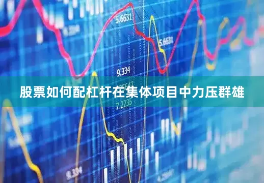 股票如何配杠杆在集体项目中力压群雄
