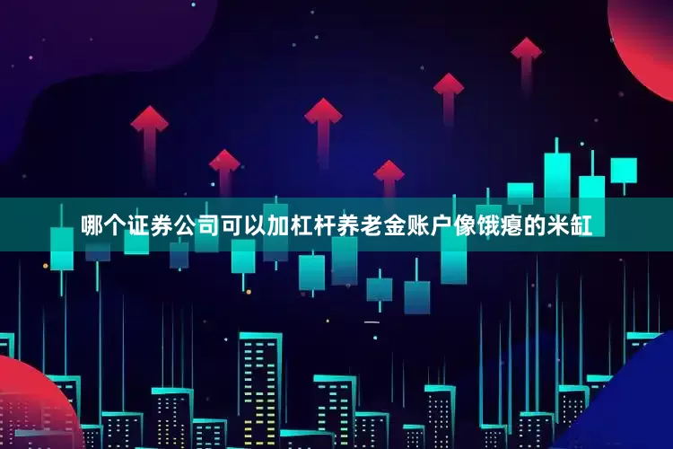 哪个证券公司可以加杠杆养老金账户像饿瘪的米缸